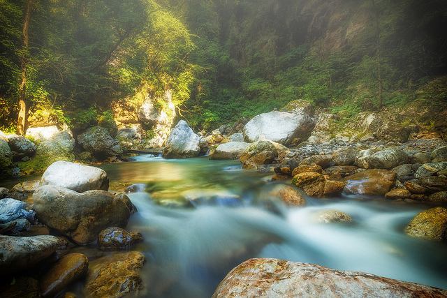 Go with the Flow